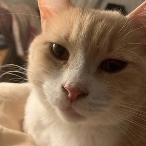 Meet your Posher, Cheryl